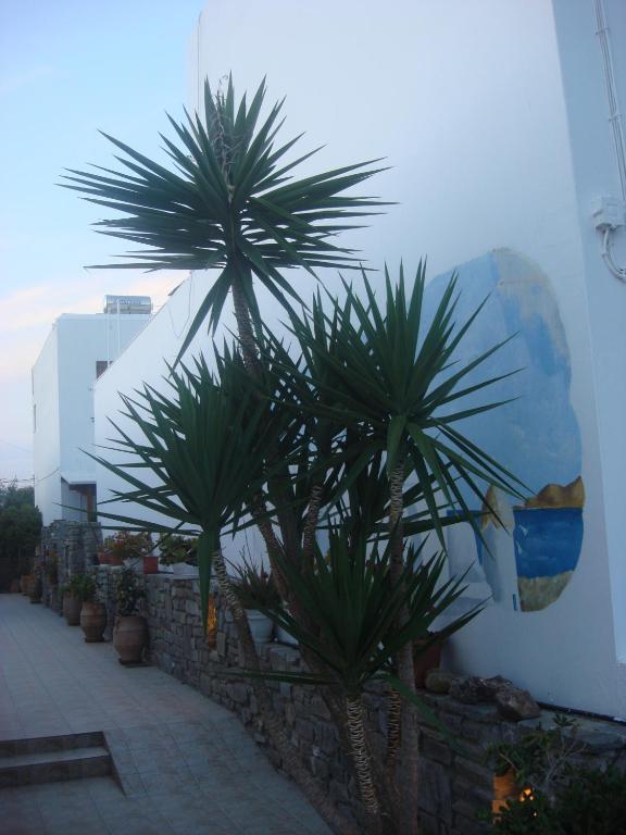 Joseph Apartments Páros Buitenkant foto